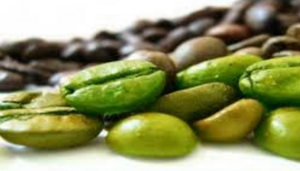 Green Coffee Extract