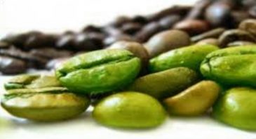 Green Coffee Extract