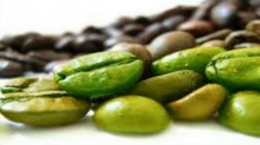 Green Coffee Extract