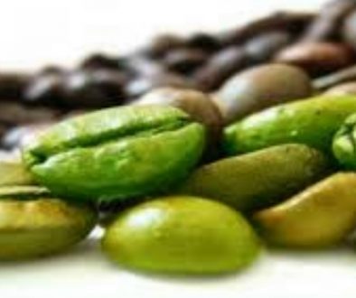 Green Coffee Extract